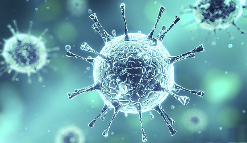 İlkadım'da Pazarlar Sıkı Denetimde