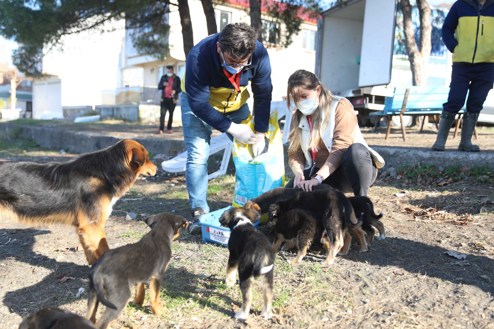 FATSA BELEDİYESİ CAN DOSTLARI SAHİPSİZ BIRAKMIYOR