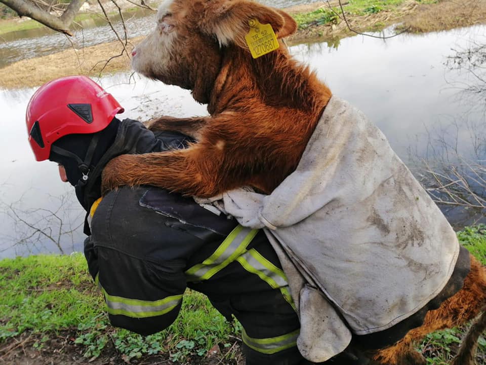 BİR CAN DAHA KURTARDILAR