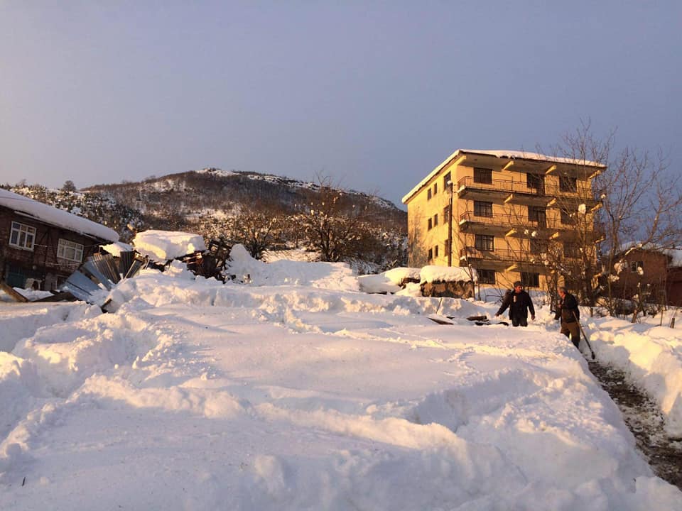 Damı çöken ahırda 2 hayvan telef oldu