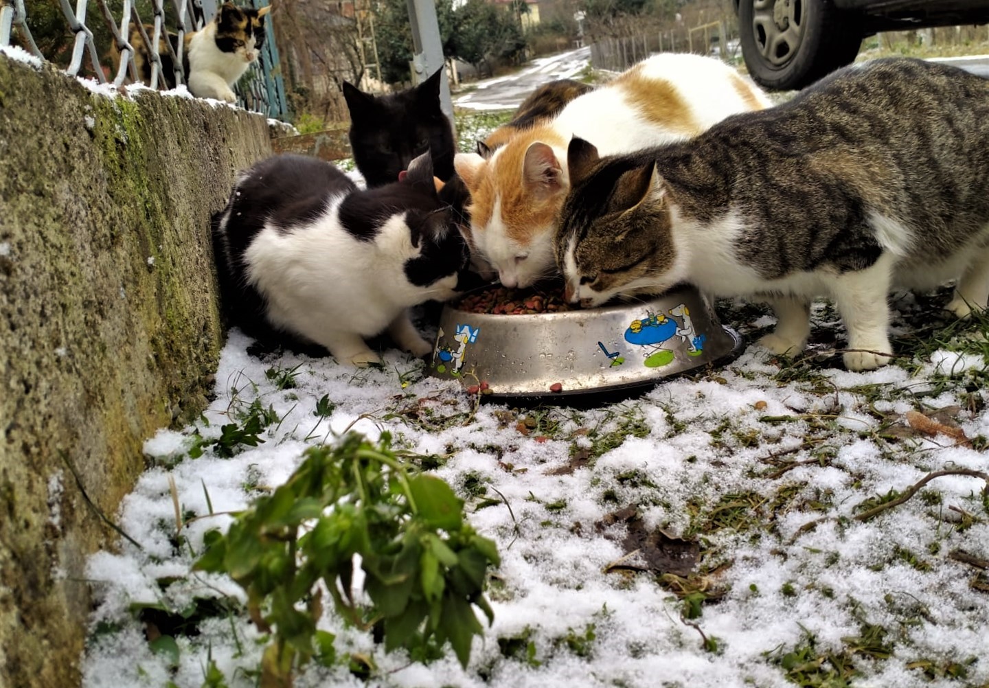 "ONLARI İLGİSİZ VE GIDASIZ BIRAKMIYORUZ"
