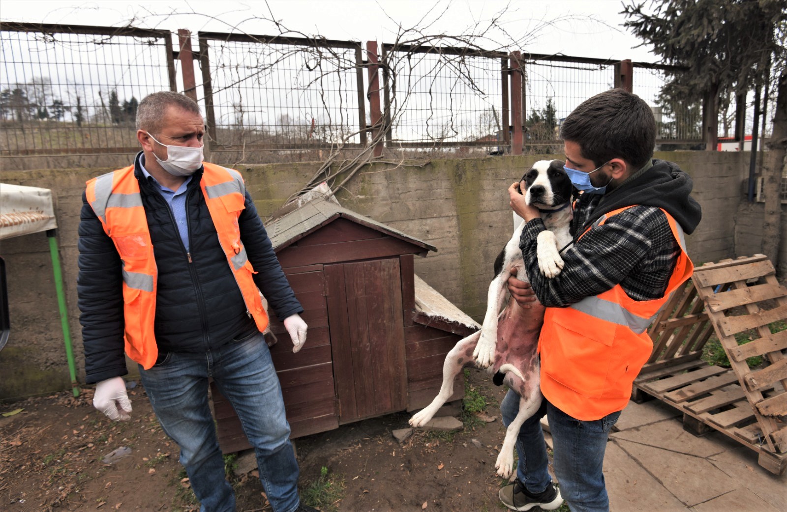 SEVİMLİ DOSTUMUZ EMİN ELLERDE