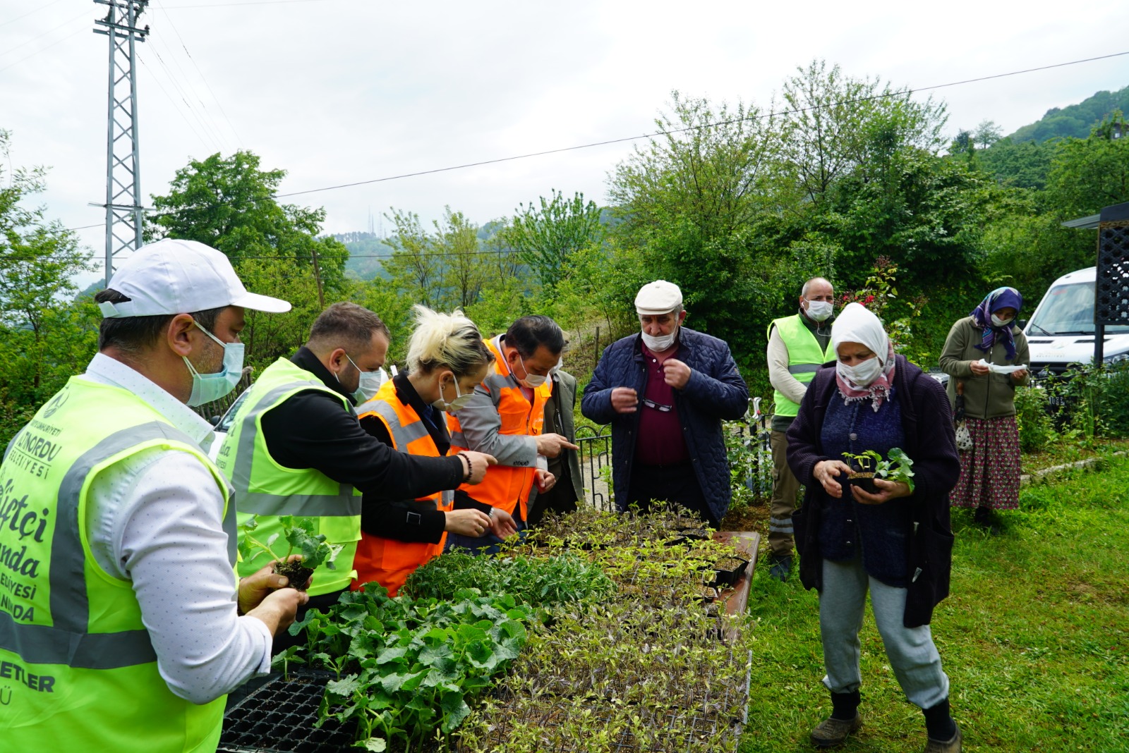 ALTINORDU BELEDİYESİ'NİN ÜCRETSİZ FİDE DAĞITIMI HEM TEŞVİK EDİCİ OLDU HEM DE FARKINDALIK OLUŞTURDU