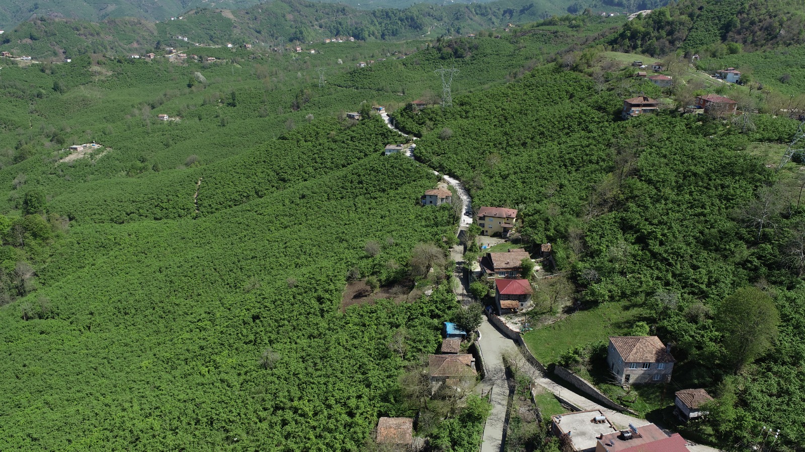 KAYAKÖY AKÇAKESİ’NİN YARIM ASIRLIK HASRETİ KONFORLU BETON YOL İLE SONA ERİYOR