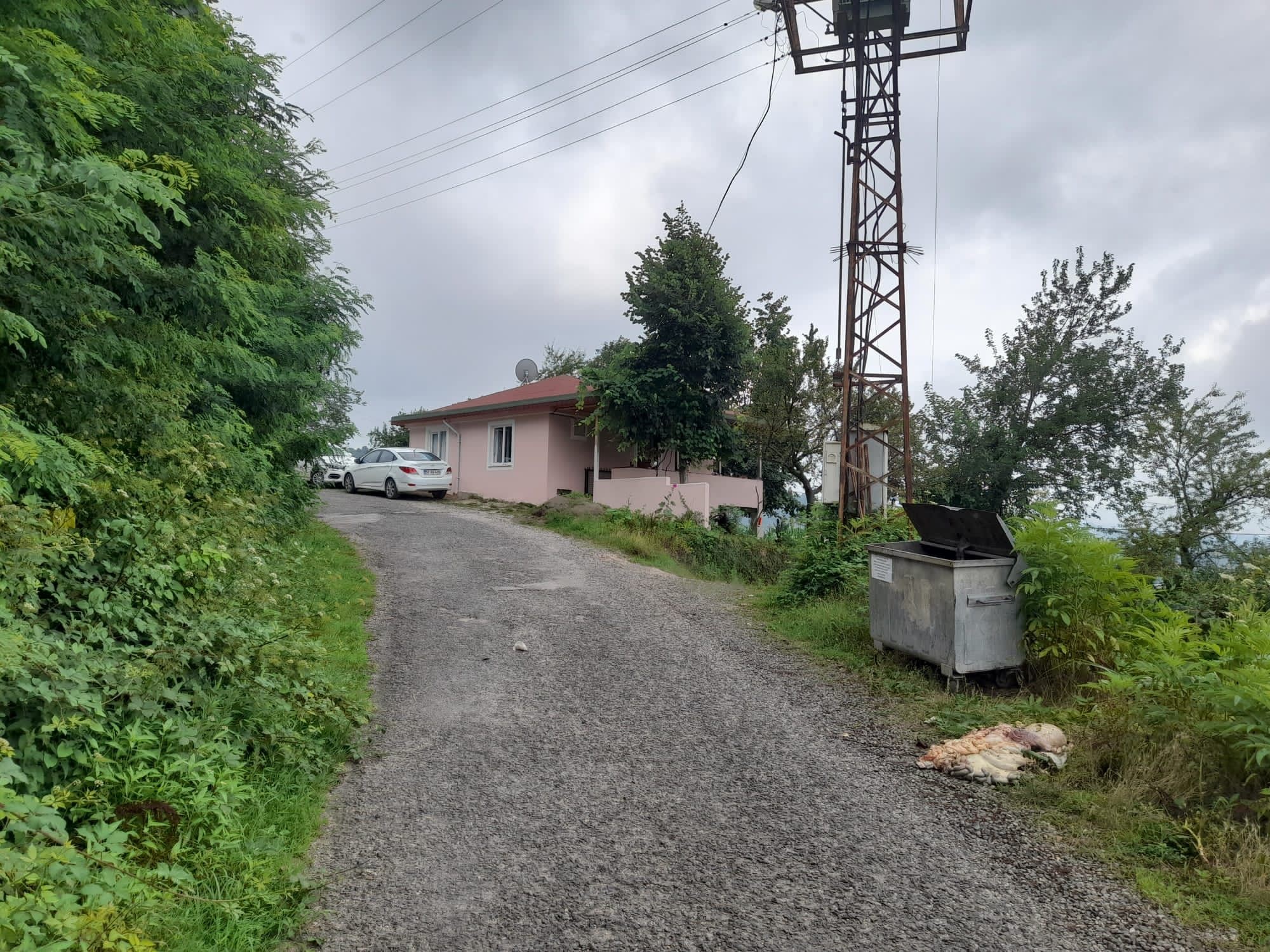 BULAŞICI HASTALIK RİSKİ NEDENİYLE SAKATATLAR TOPRAĞA GÖMÜLÜP ÜZERİNE KİREÇ DÖKÜLMELİ