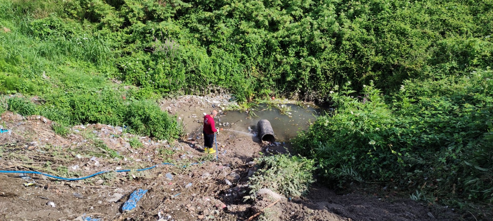 VEKTÖRLE MÜCADELEDE VATANDAŞLARA DA BÜYÜK PAY DÜŞÜYOR