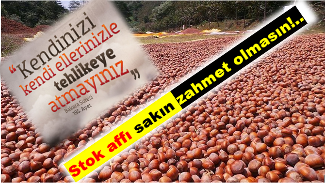 FINDIKTA STOK AFFININ DOĞURACAĞI SORUMLULUKLAR!..