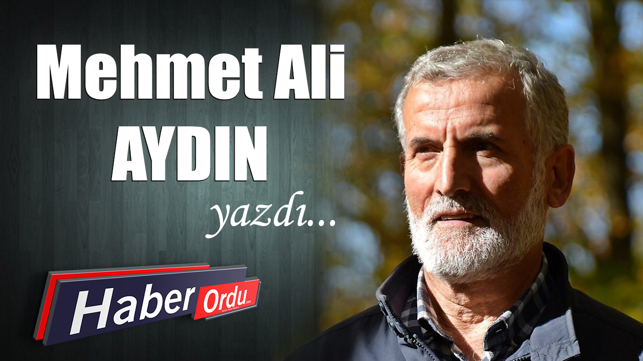 HAYVANLAR KADAR İNSAN OLAMADIK