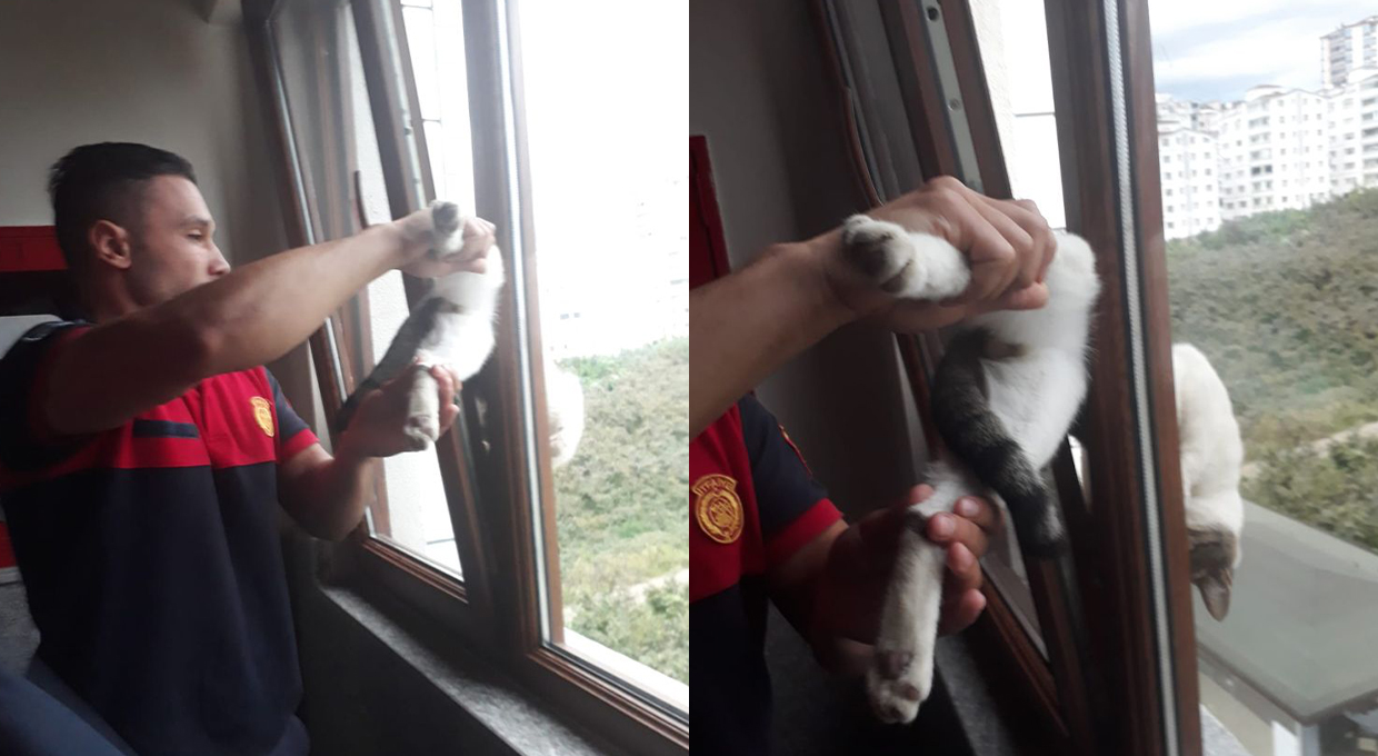 PENCEREYE SIKIŞAN KEDİYİ ORDU İTFAİYESİ KURTARDI