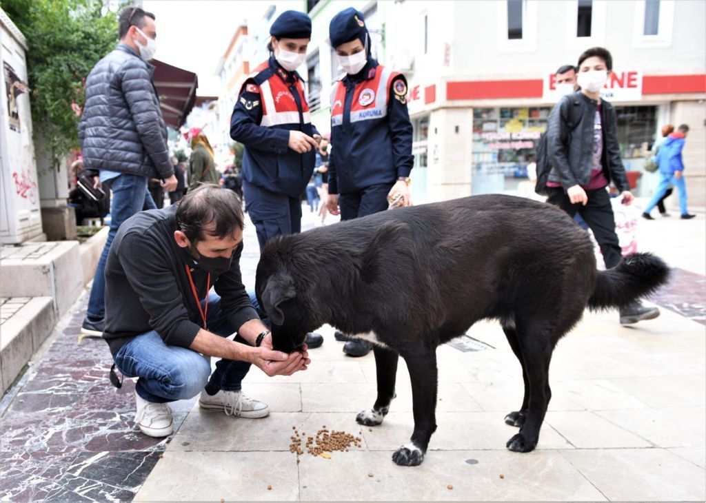 SEVİMLİ DOSTLAR İÇİN DE BU ŞEHİRDE HAYAT VAR