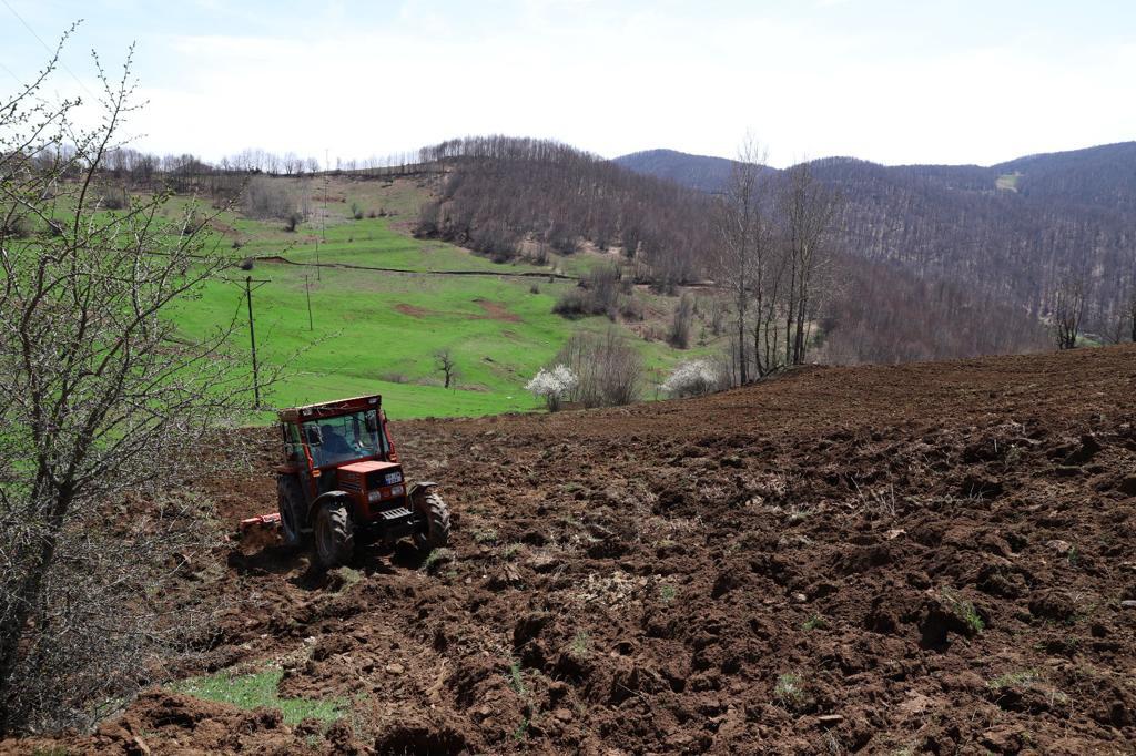 ATIL ARAZİLER ÇİFTÇİLERE CANSUYU OLDU