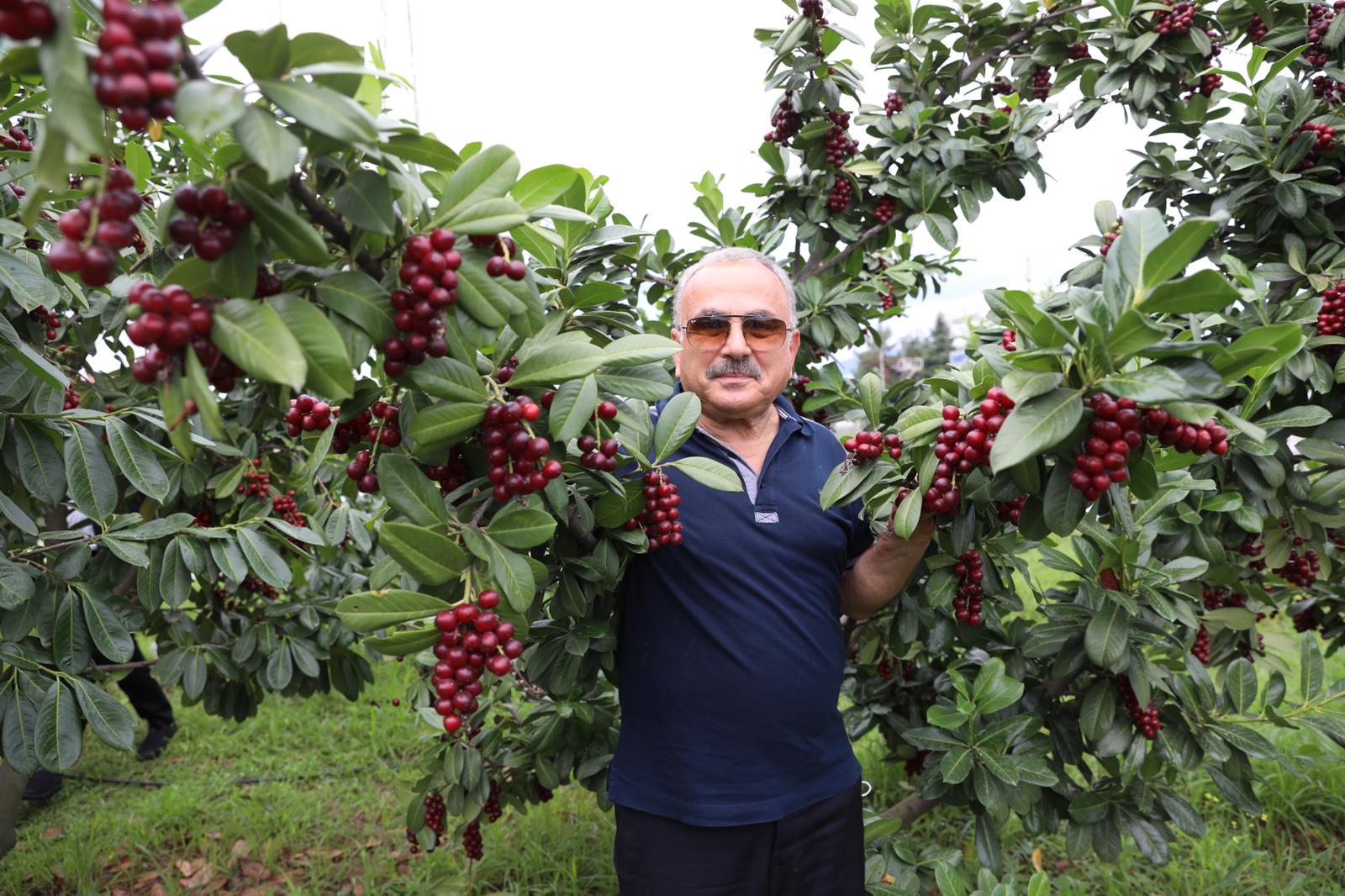 BÜYÜKŞEHİR BİRE ALTI KAZANDIRDI