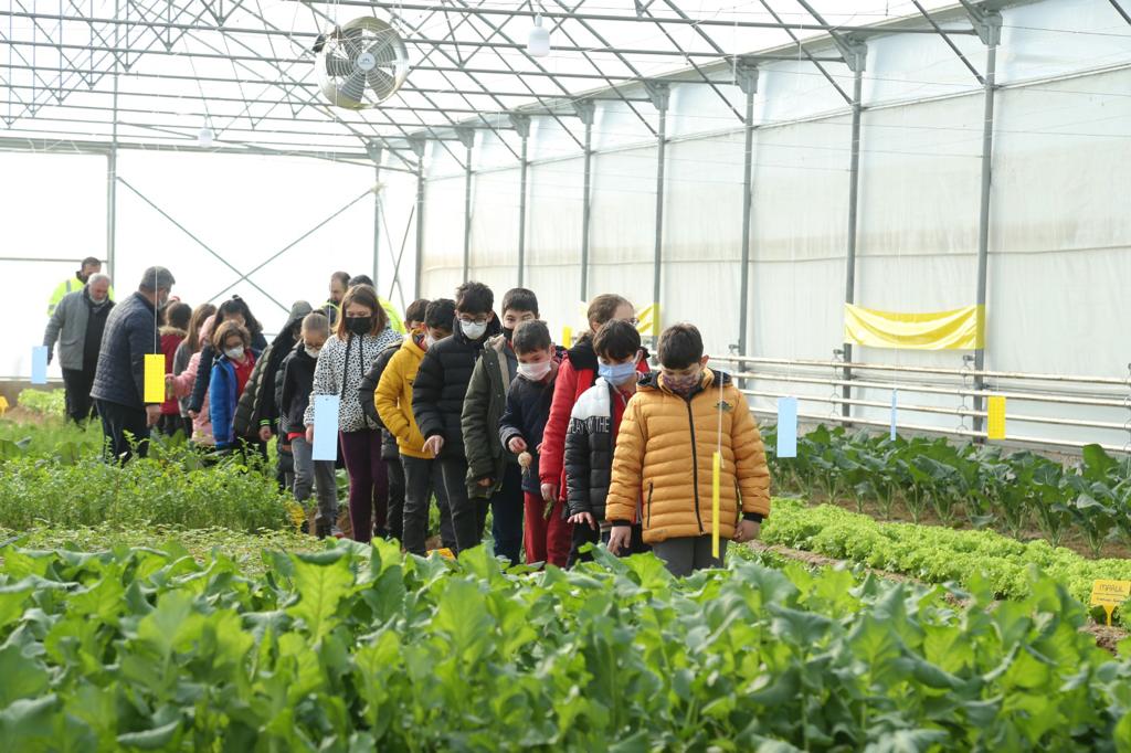 BÜYÜKŞEHİR’İN SERALARI ÖĞRENCİLERİN ZİYARETİNE AÇILDI