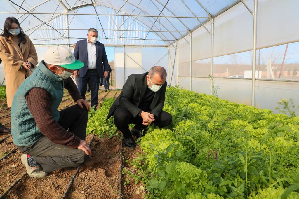VALİ SONEL, FINDIK ÜRETİMİNDE VERİMİ VE KALİTEYİ ARTIRMA ÇALIŞMALARINI YERİNDE İNCELEDİ