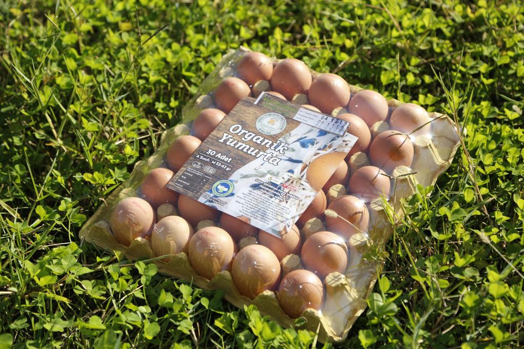  ORDU YUMURTA ÜRETİMİNİN BAŞKENTİ OLUYOR