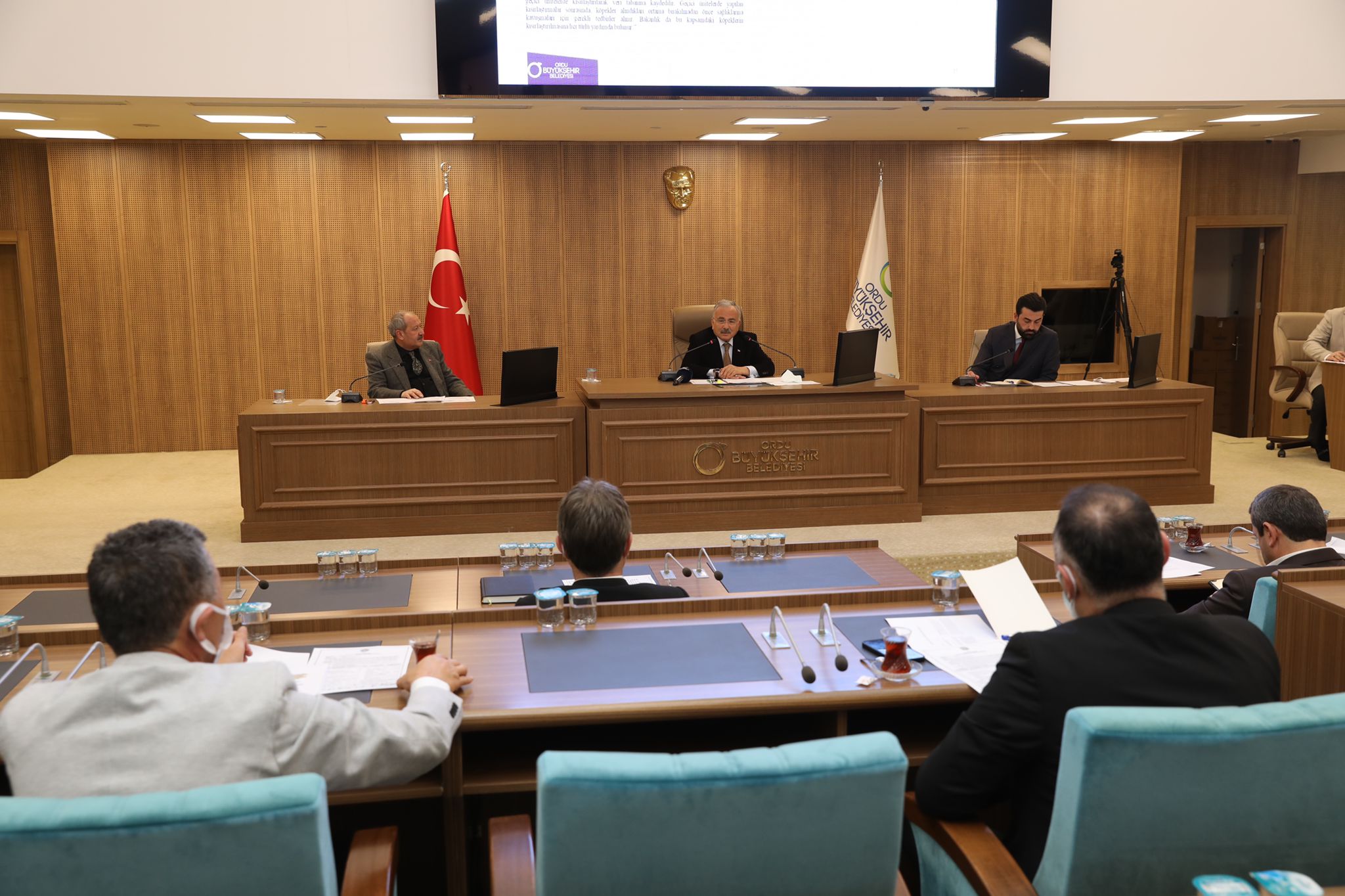 SOKAK HAYVANLARI İÇİN YENİ KARARLAR ALINDI