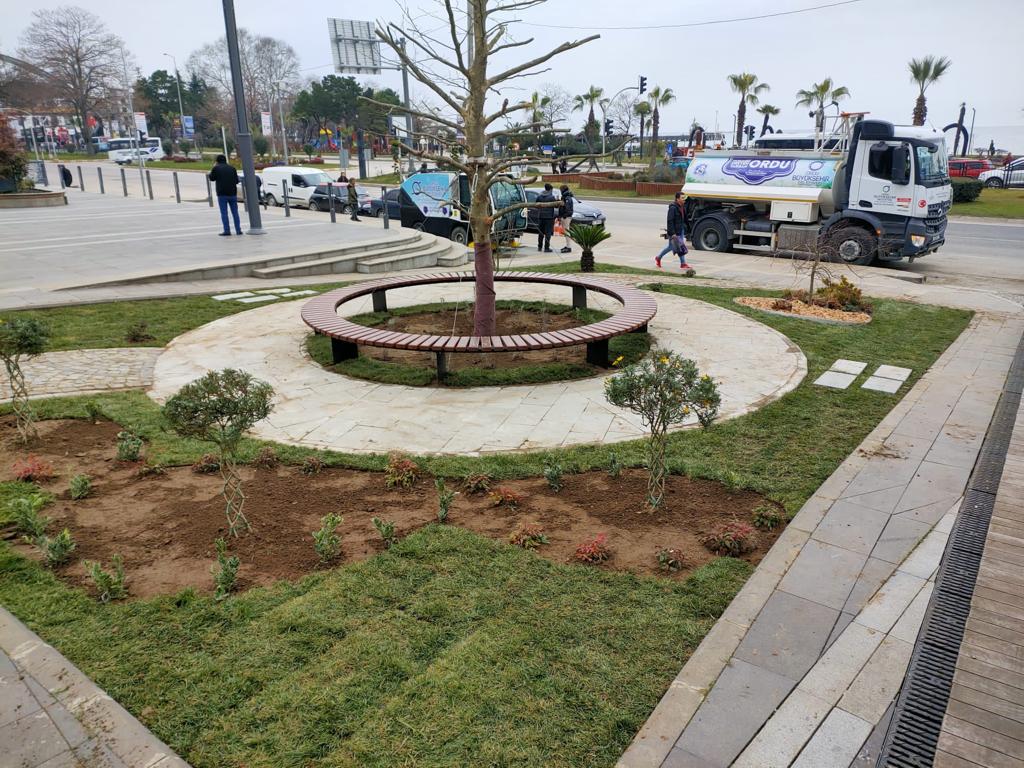 FATSA MEYDANI YEŞİLLENDİ