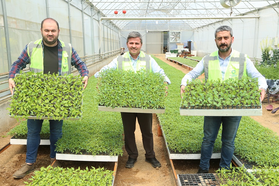 100 BİN FİDE ÇOCUKLAR ARACILIĞI İLE ÜRETİCİLERLE BULUŞACAK