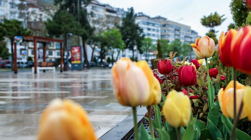 ORDU’NUN GÜZELLİĞİNE GÜZELLİK KATAN ÇALIŞMA