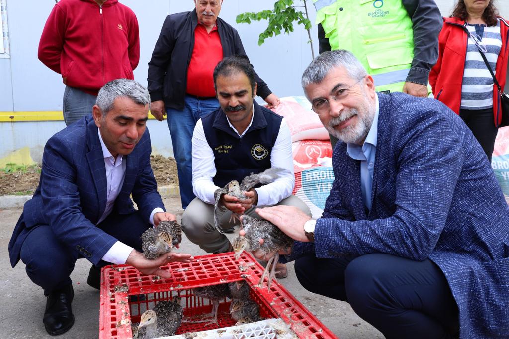 ÇİFTÇİLERE 750 ADET HİNDİ PALAZI DAĞITILDI