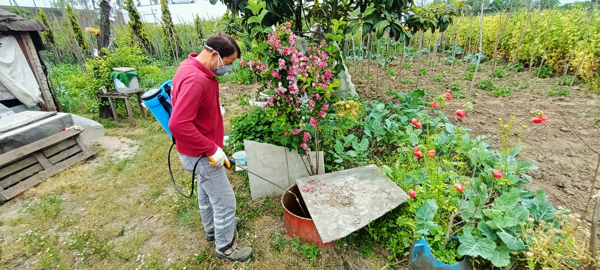 BÜYÜKŞEHİR SİVRİSİNEKSİZ VE HAŞERESİZ BİR YAZ İÇİN ÇALIŞIYOR