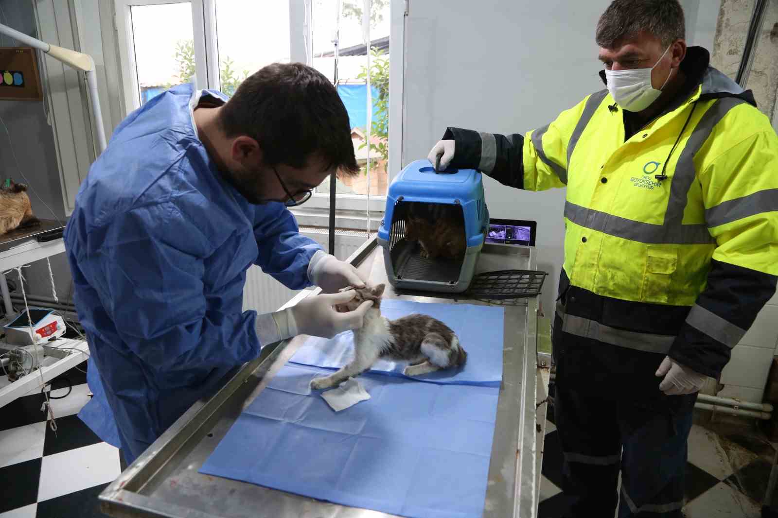 HAYVAN HASTANESİ CAN DOSTLARIN SIĞINAĞI OLDU 