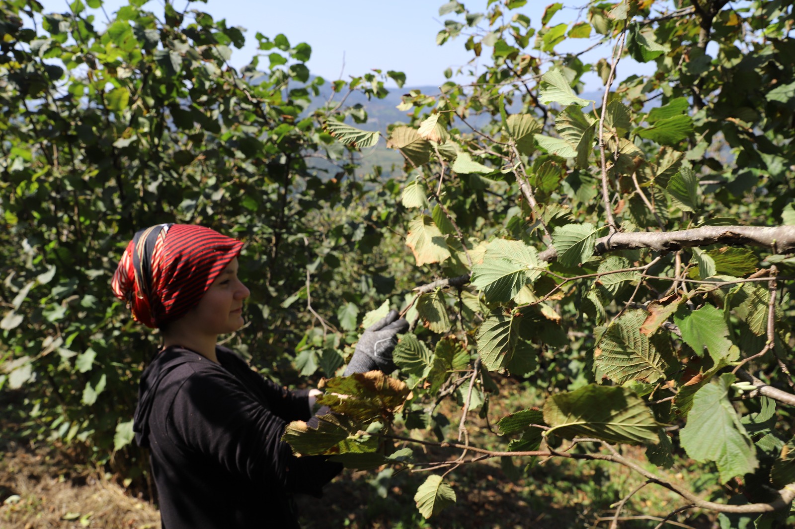 Bu Proje Yüzleri Güldürdü