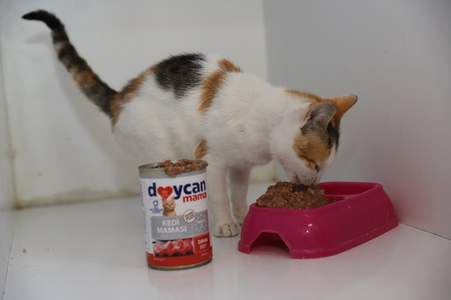 Büyükşehir Sokak Canları İçin Mama Üretimine Başladı