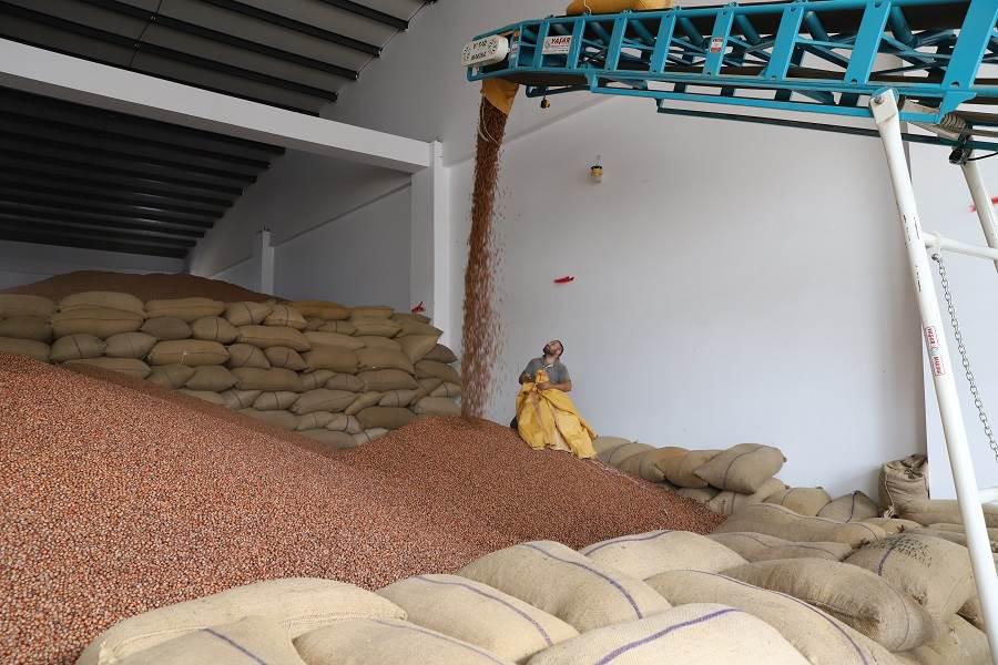 Fındık Verimliliği (Fınver) Projesinde Büyük Başarı