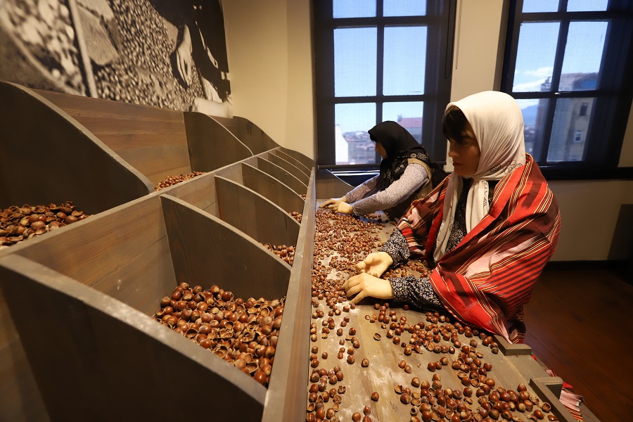 Türkiye’de Bir İlk: Fındık Müzesi